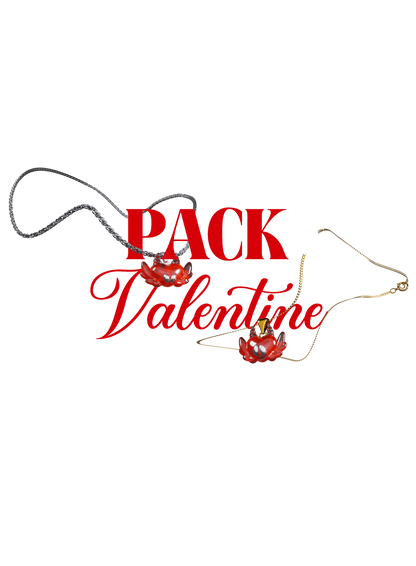 Pack VALENTINE - collier Or + Argent 925